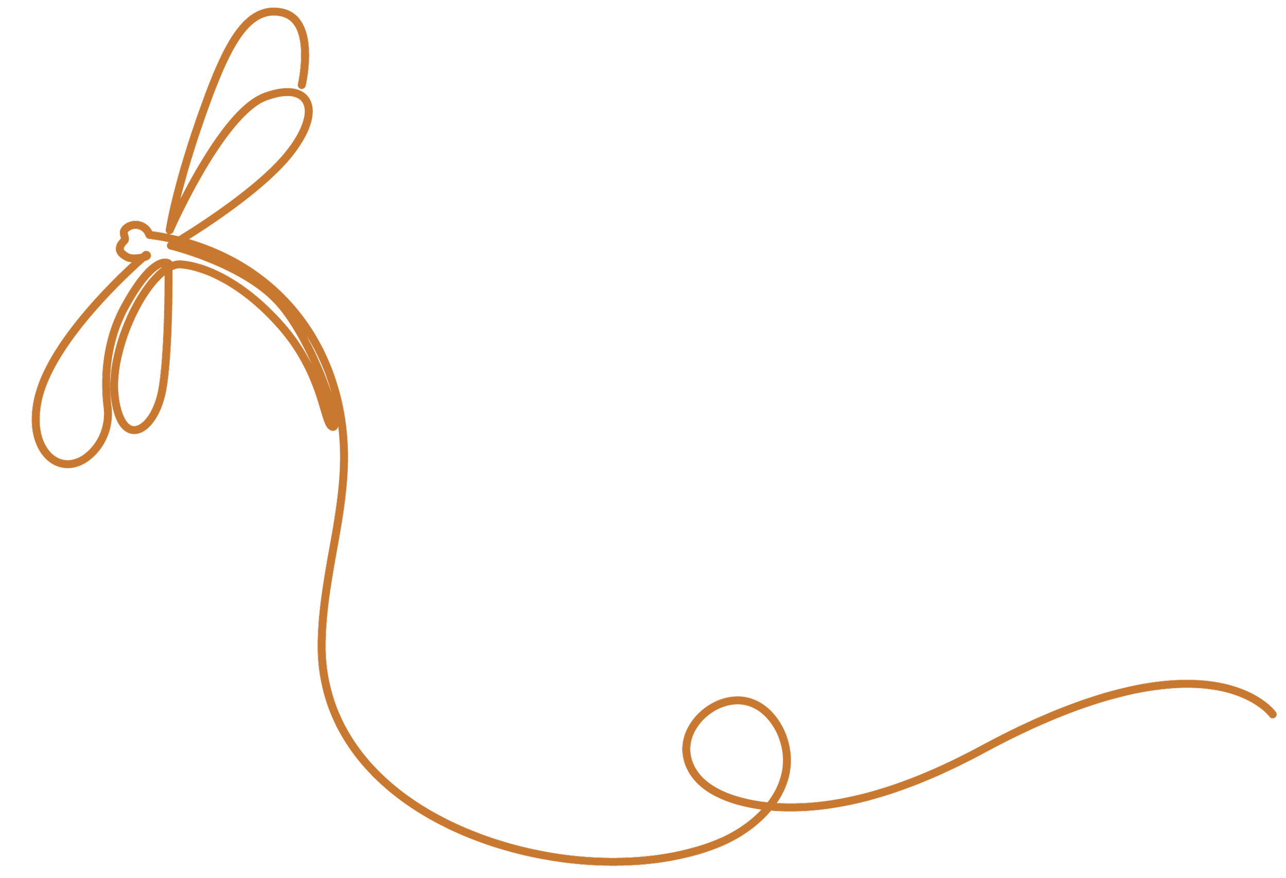 Elegant line drawing of a bow with ribbon trailing.
