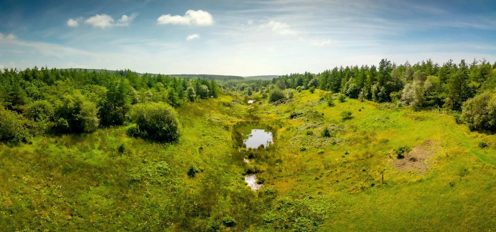 Walkmill Community Woodland. A bright green grassy field with small ponds, surrounded by dense green forest under a partly cloudy blue sky.