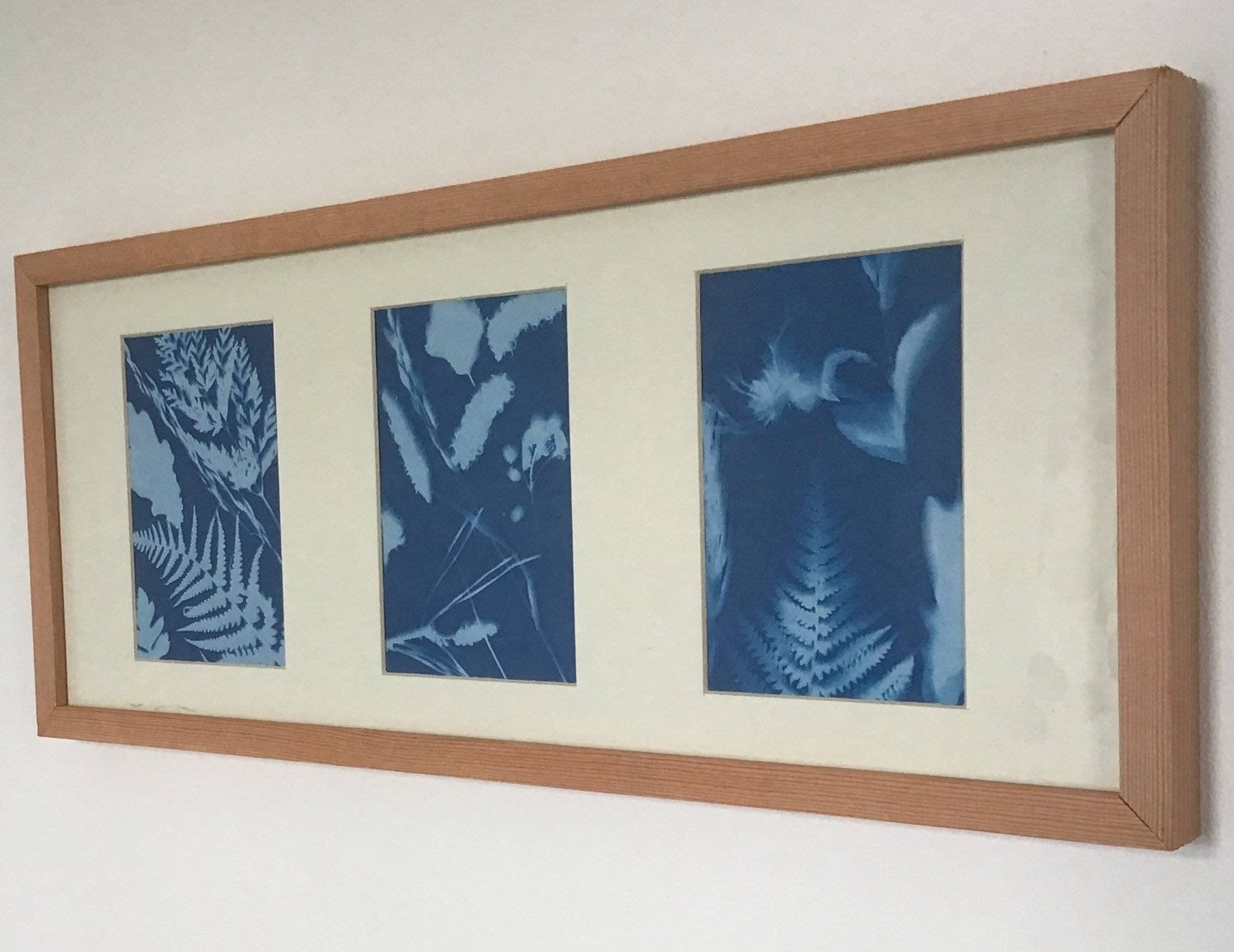 Sun print