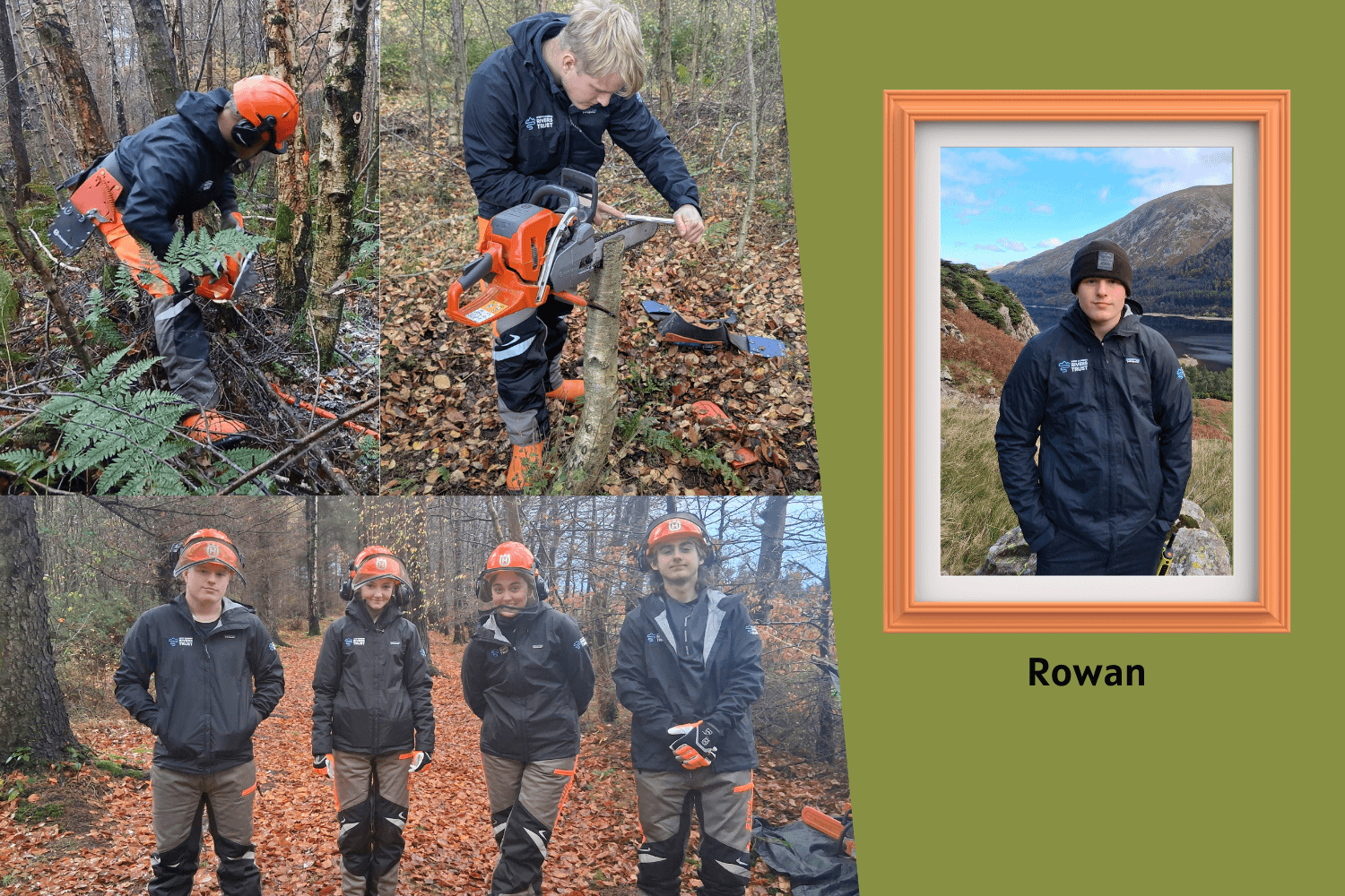 Rowan Apprentice imagery