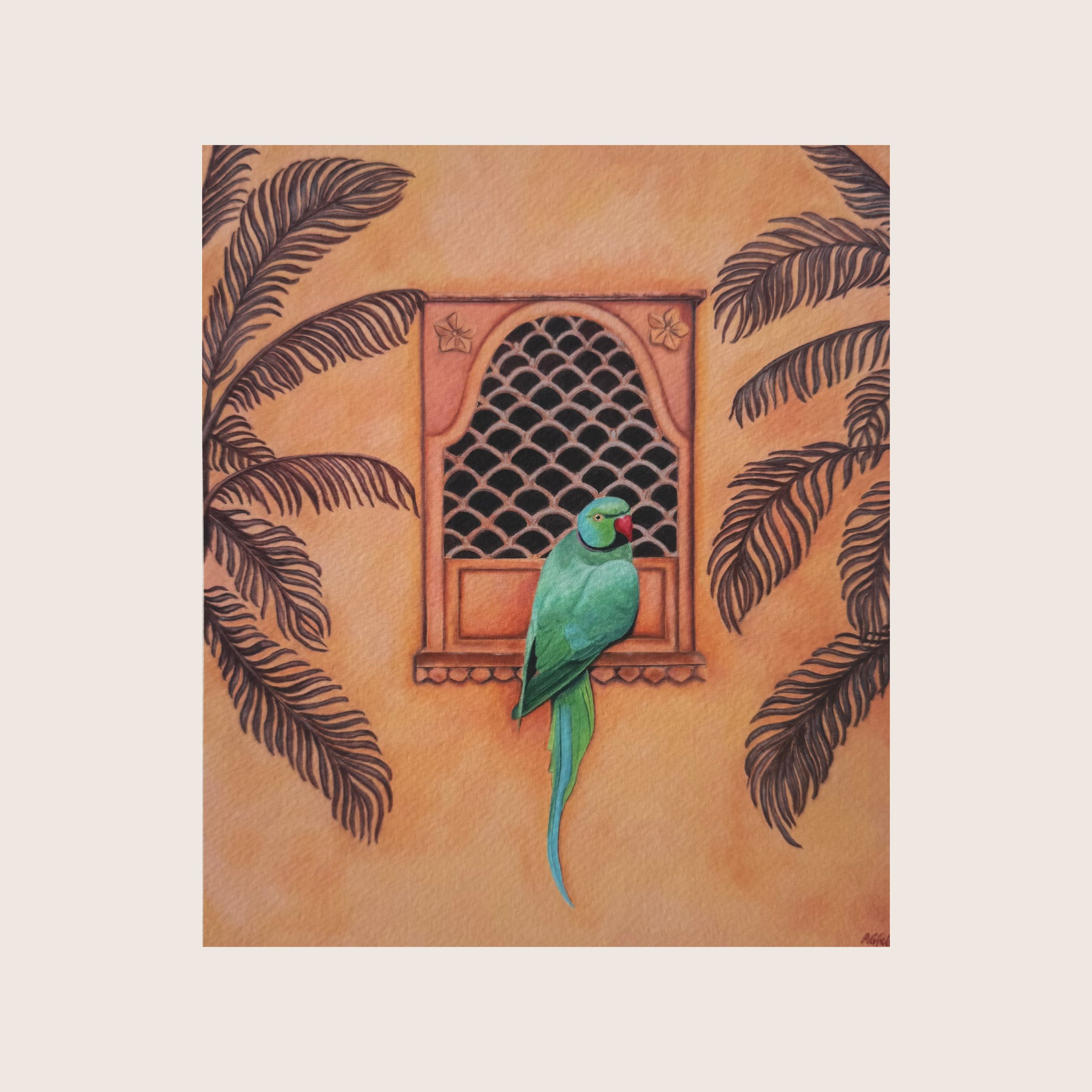 Indian Ring Neck Parrot in the Palms