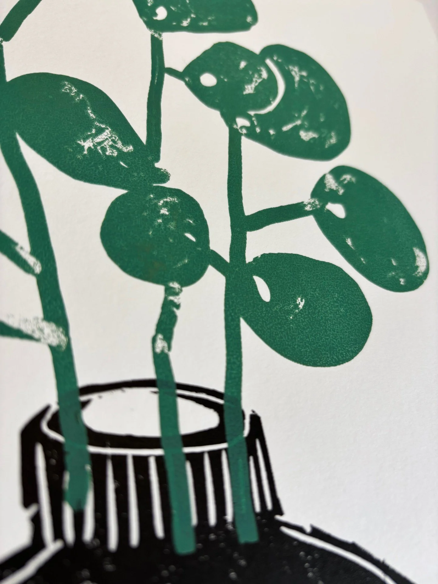 green 4.jpg