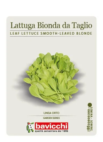 LATTUGA BIONDA DA TAGLIO A FOGLIA LISCIA - VLA1307