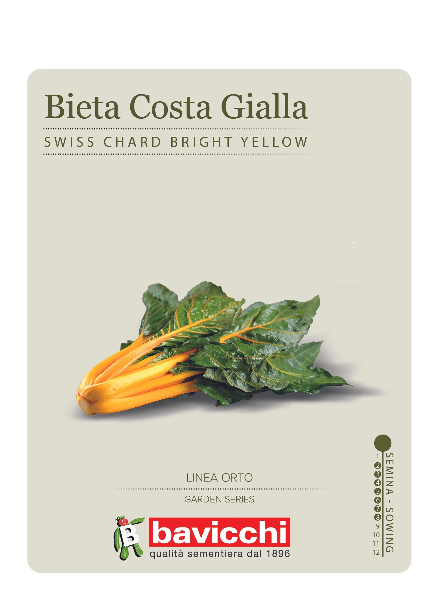 BIETOLA COSTA GIALLA - VBI1307