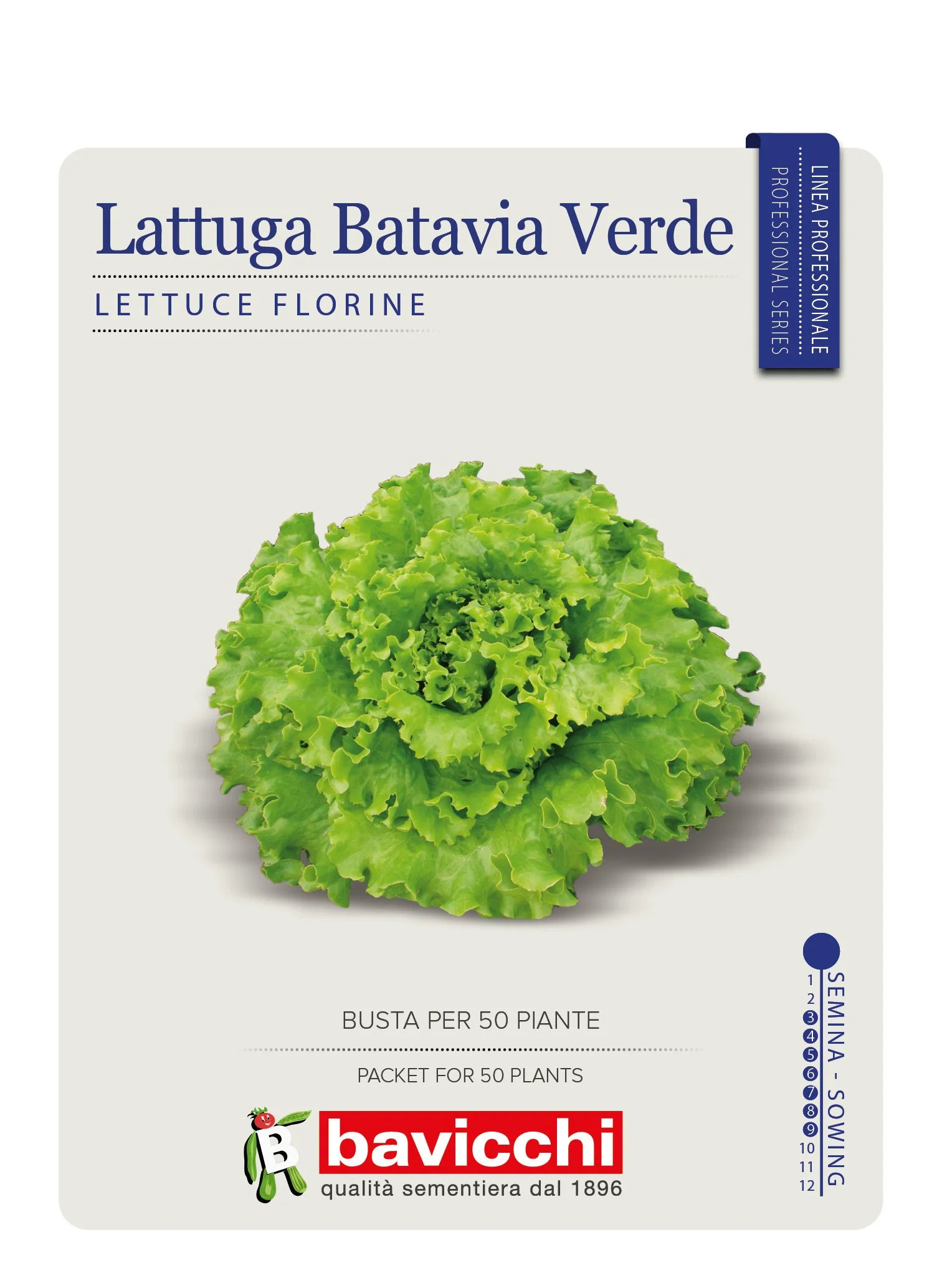 LATTUGA FLORINE - VLA5307