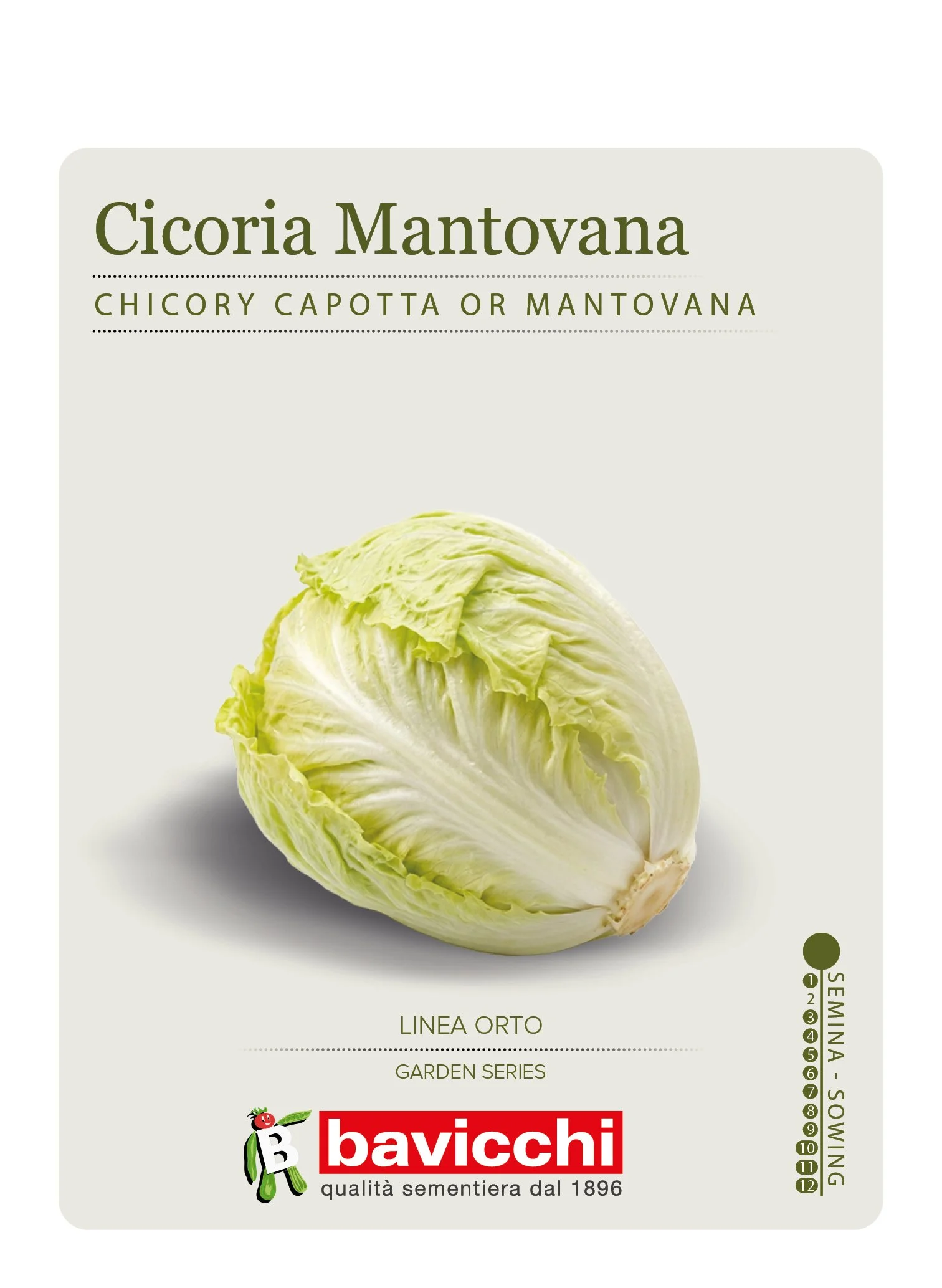 CICORIA MANTOVANA - VCI2007