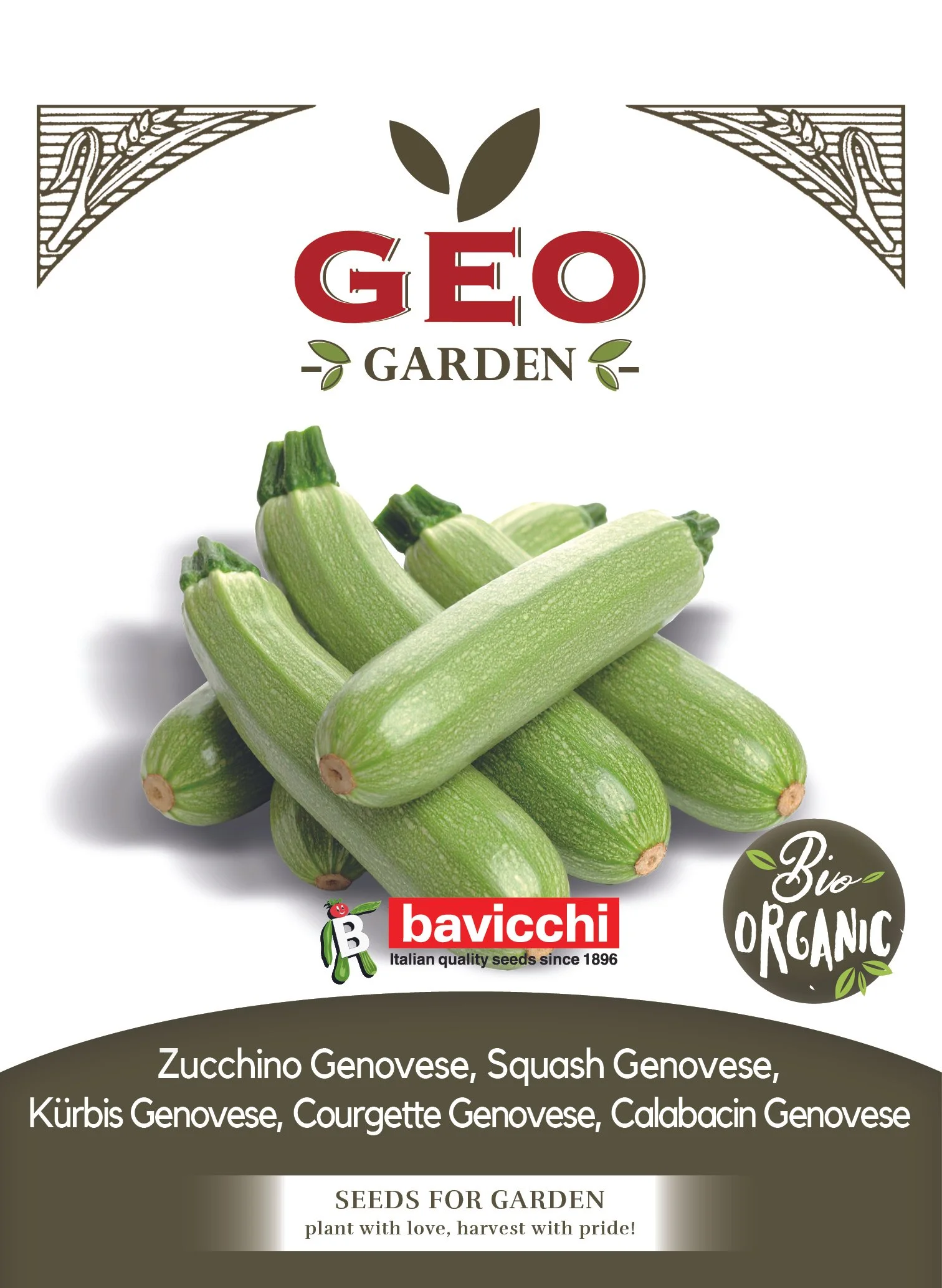 ZUCCHINO GENOVESE - VZU3103