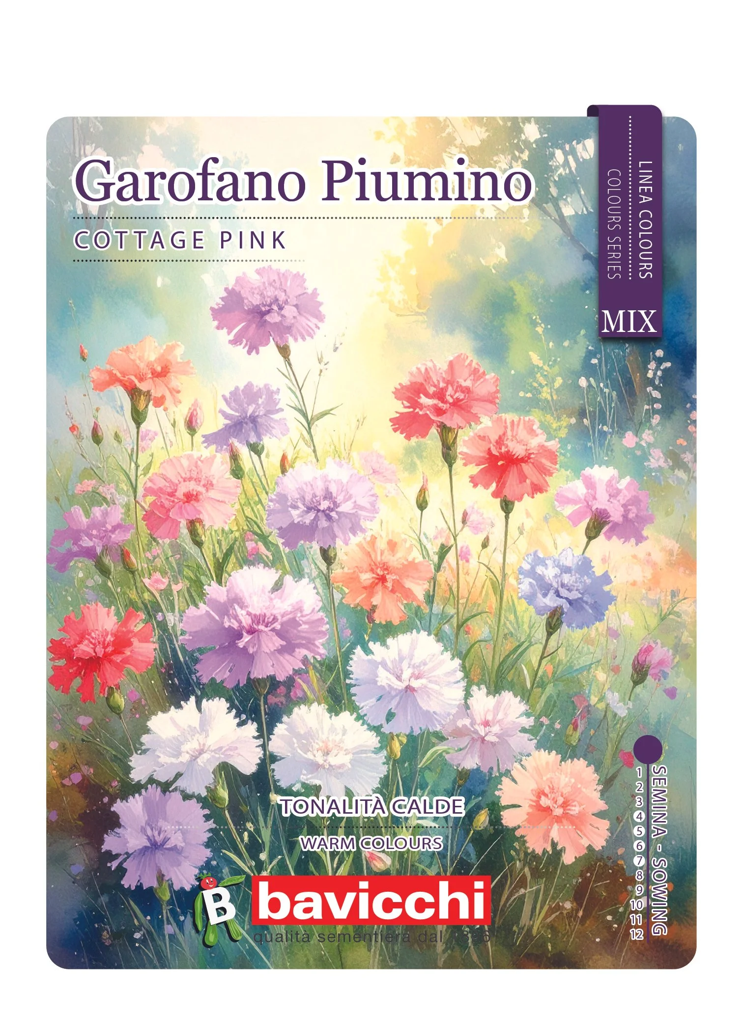GAROFANO PIUMINO MIX - FGR1207