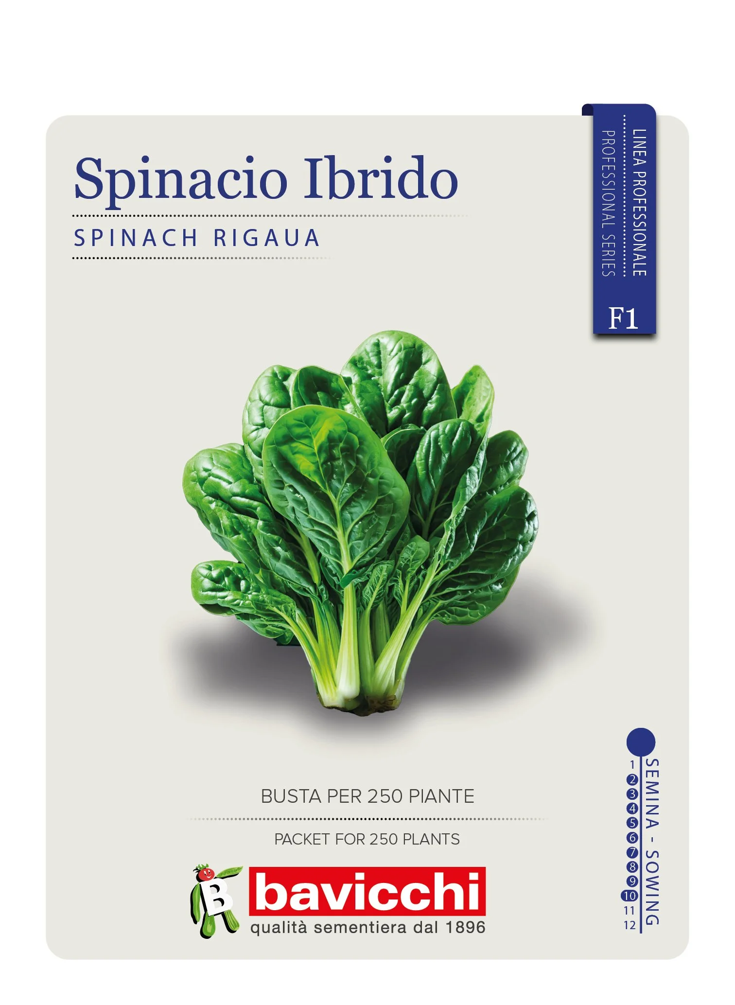 SPINACIO RIGAUA F1 - VSP1107