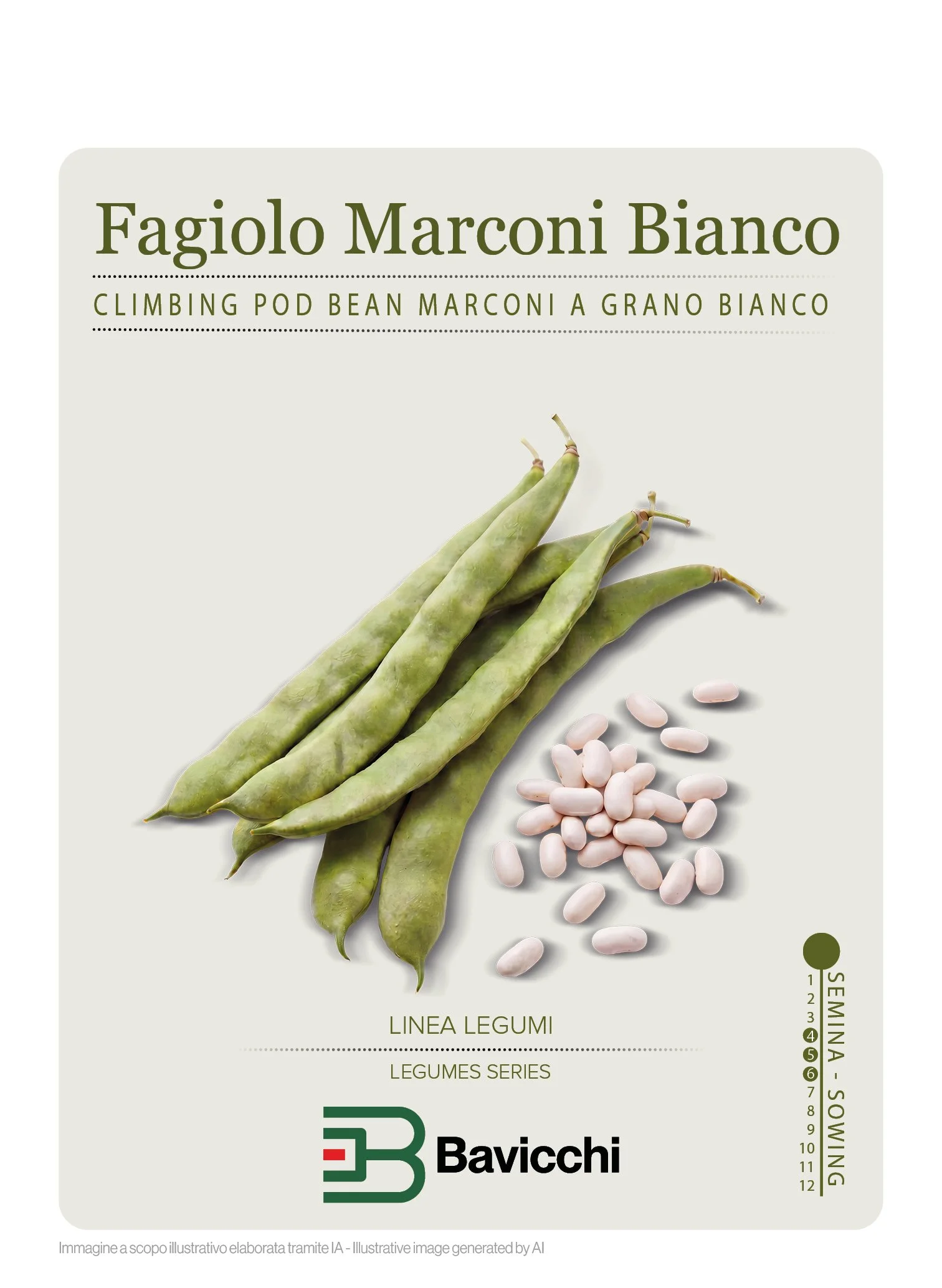 FAGIOLO RAMPICANTE MARCONI A GRANO BIANCO- VFR1107