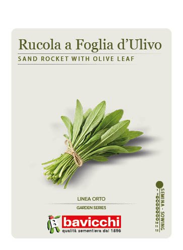 RUCOLA SELVATICA A FOGLIA D'ULIVO - ZRU0407