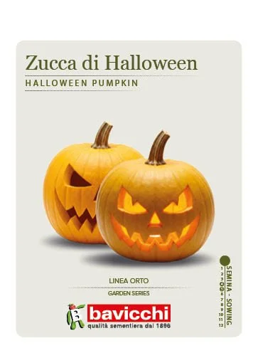 ZUCCA GRAN GIGANTE - VZU2107