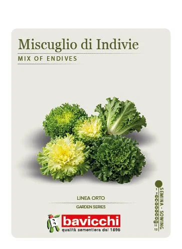 MISCUGLIO DI INDIVIE DA TAGLIO - ZMI0307