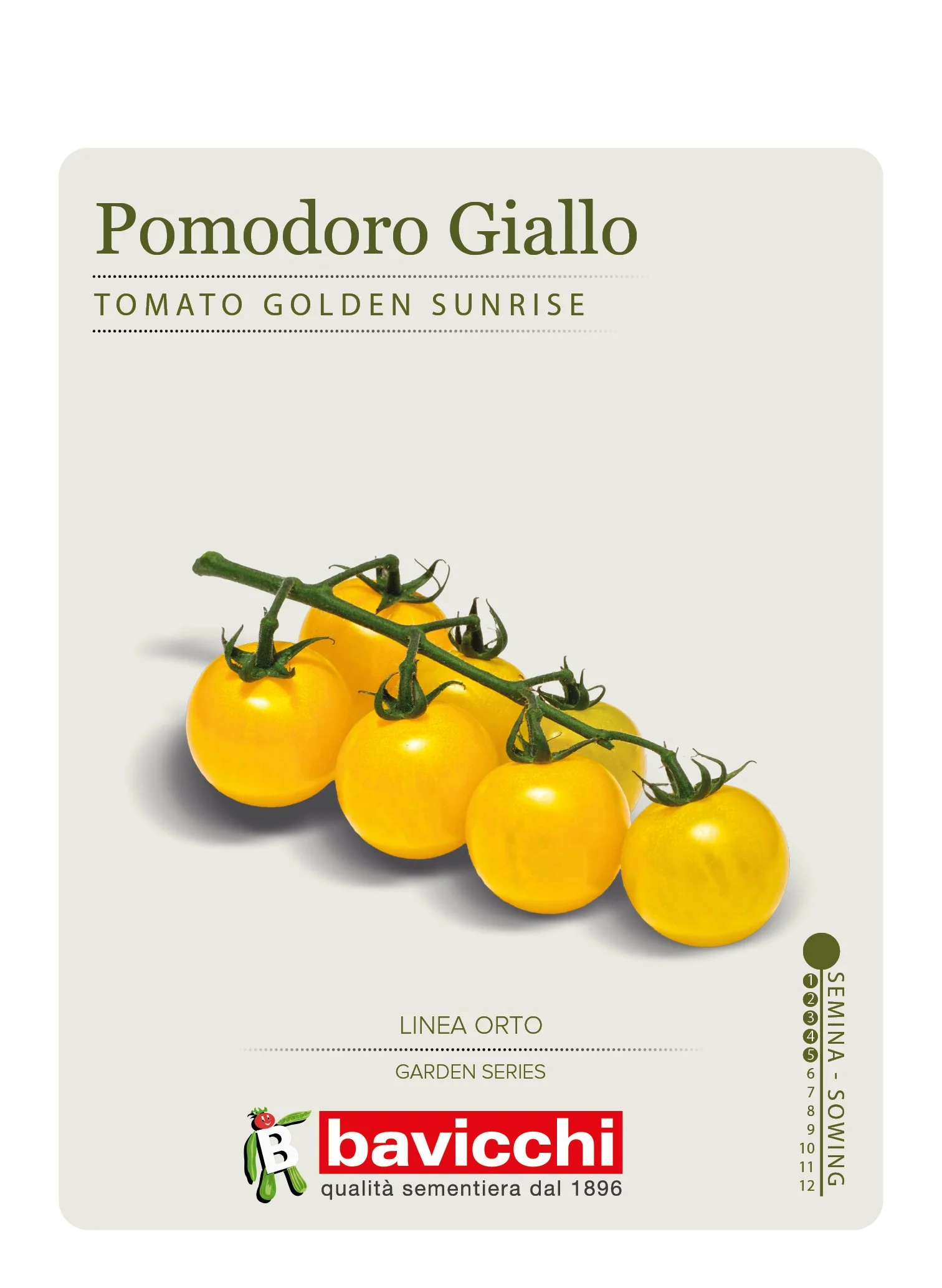 POMODORO GOLDEN KÖNIGIN - VPM3807