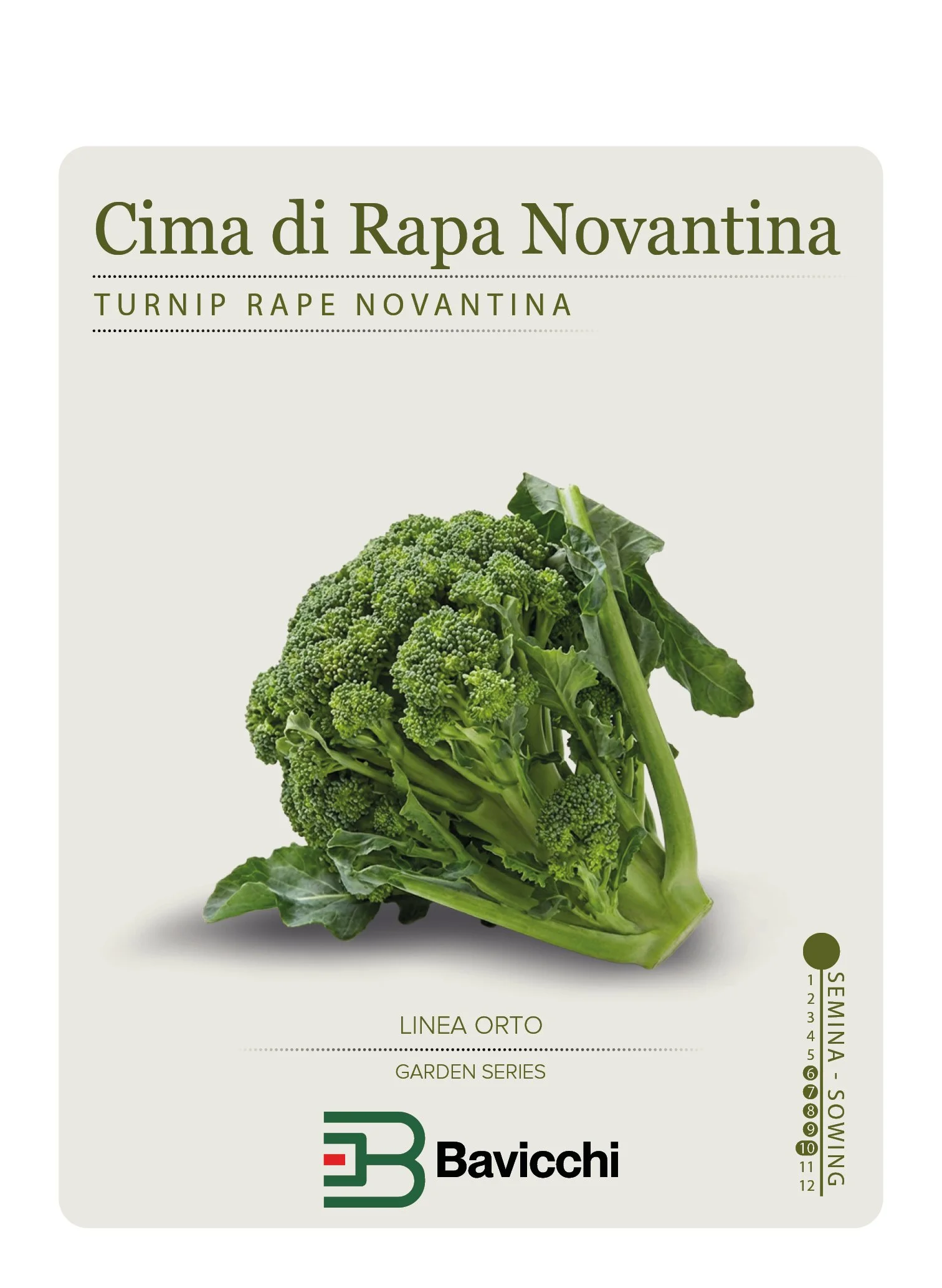 RAPA BROCCOLETTI O CIMA DI RAPA NOVANTINA - ZRP0207