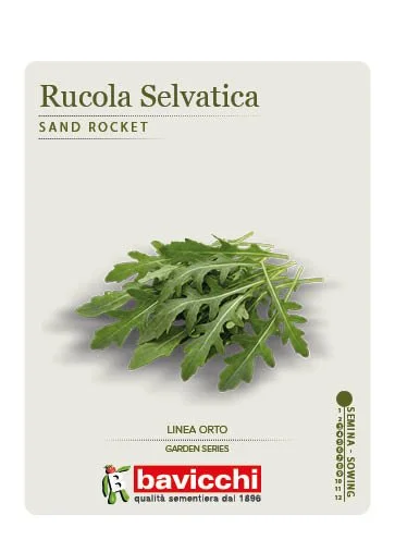 RUCOLA SELVATICA - ZRU0307