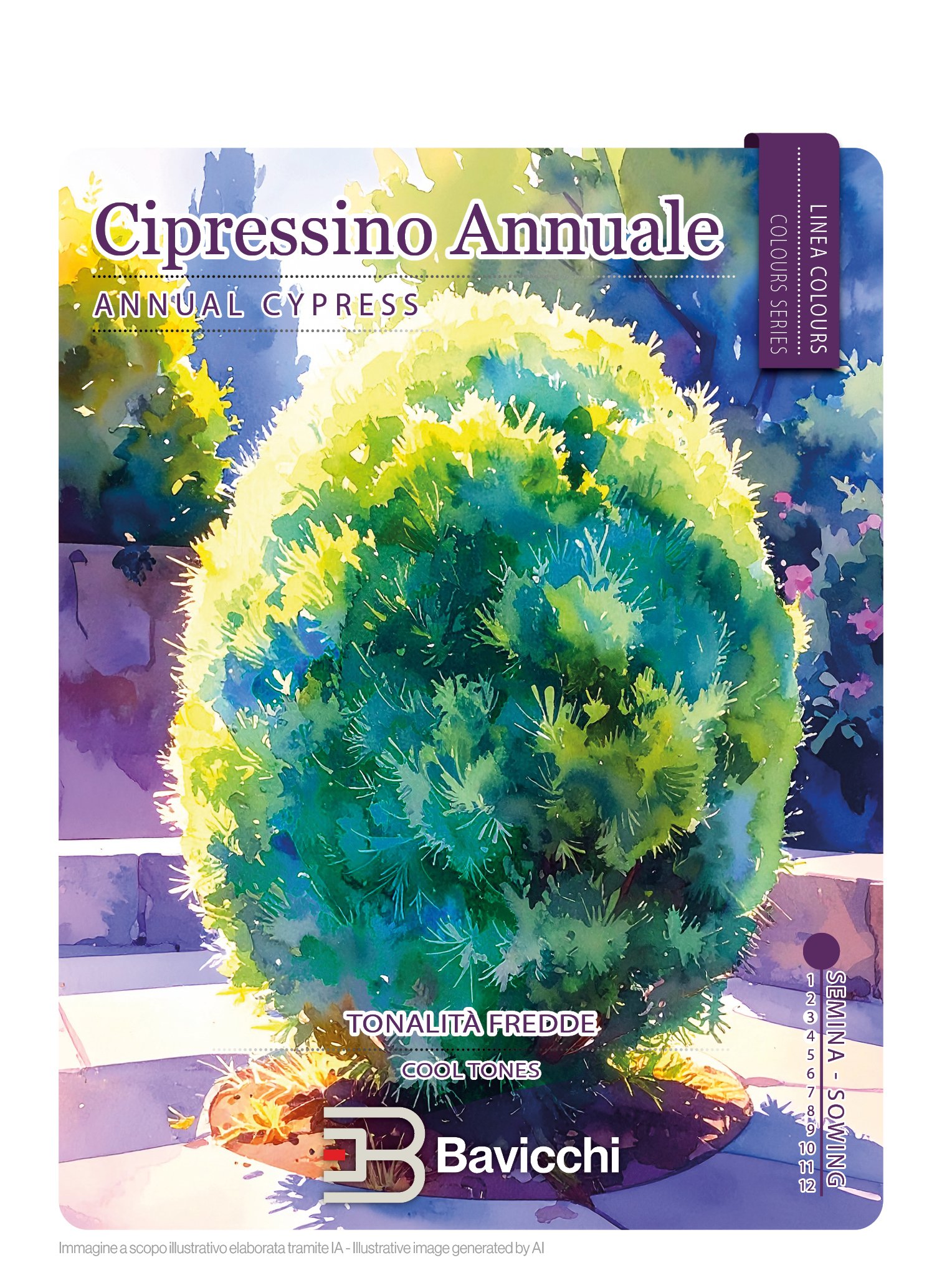 CIPRESSINO ANNUALE - FKC0107