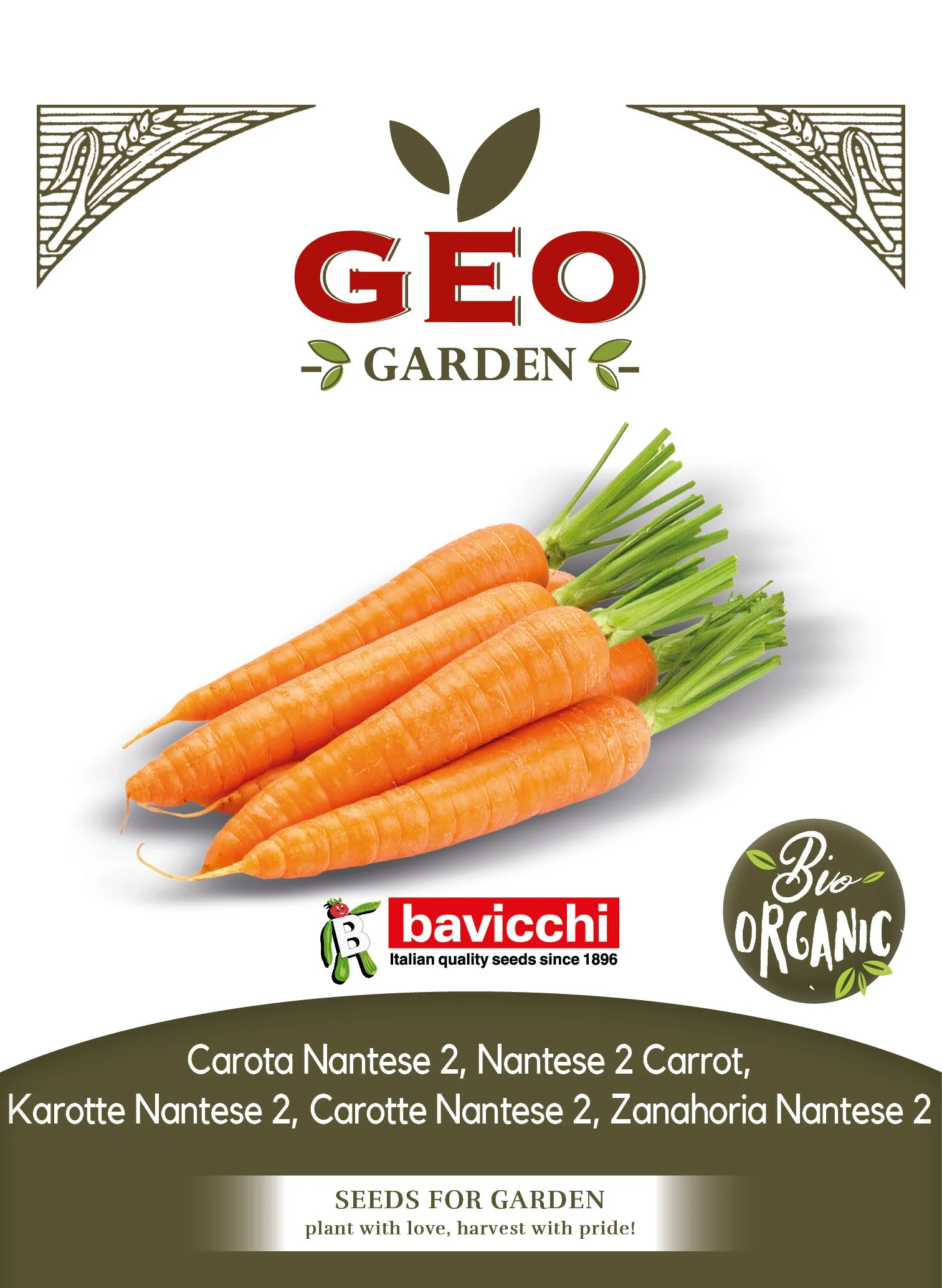 CAROTA NANTESE 2 - VCA1303