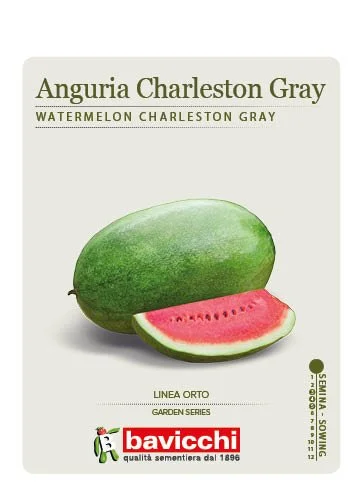 ANGURIA CHARLESTON GRAY - VAN0107