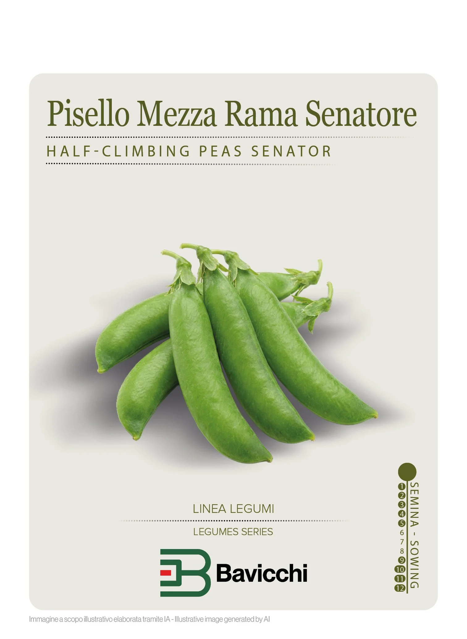 PISELLO SENATORE - VPI0307