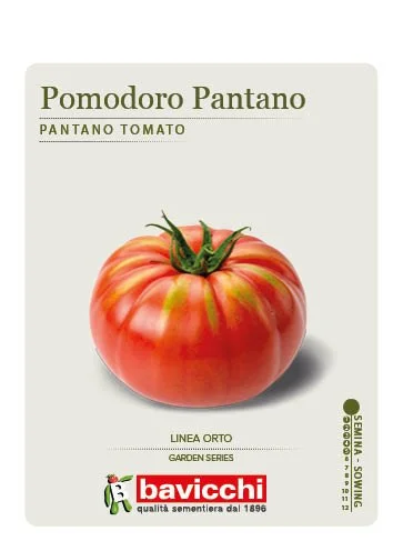 POMODORO PANTANO - VPM1307