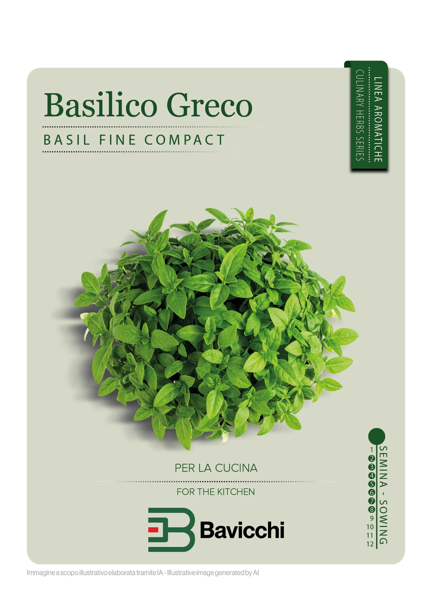 BASILICO COMPATTO A PALLA - ZBS0507
