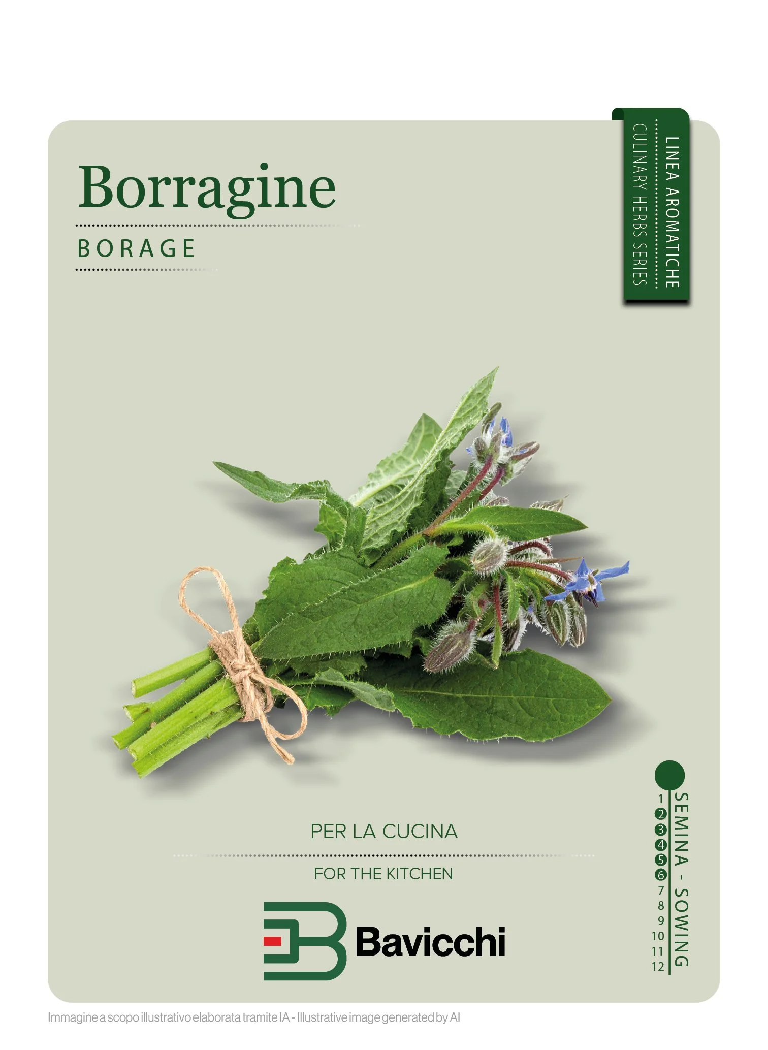 BORRAGINE - ZXB1007