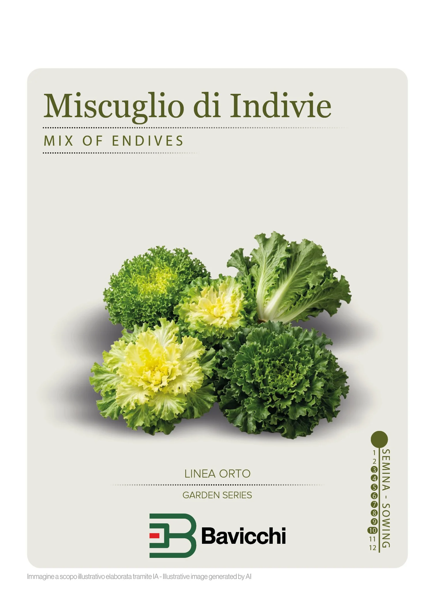 MISCUGLIO DI INDIVIE DA TAGLIO - ZMI0307