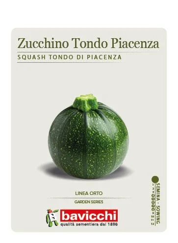 ZUCCHINO TONDO DI PIACENZA - VZU0607
