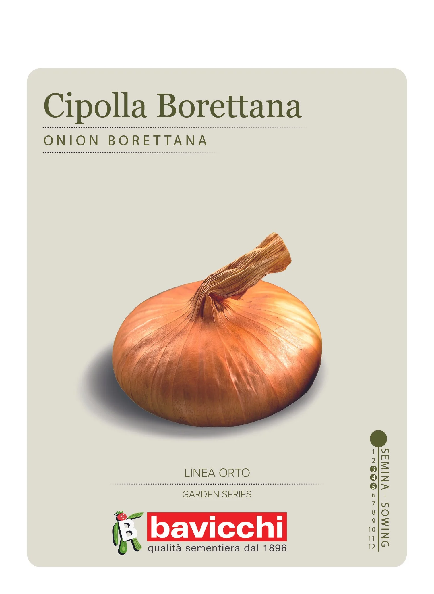 CIPOLLA BORRETTANA - VCL0407