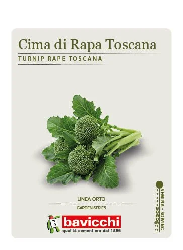 RAPA BROCCOLETTI O CIMA DI RAPA TOSCANA - ZRP0507