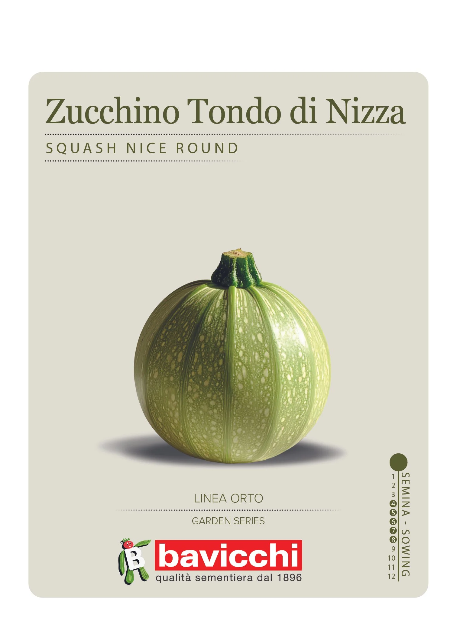 ZUCCHINO TONDO CHIARO DI NIZZA - VZU1307