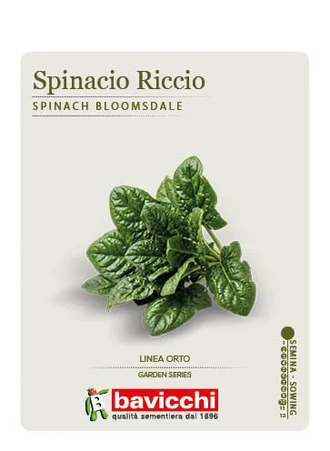 SPINACIO RICCIO - VSP0607