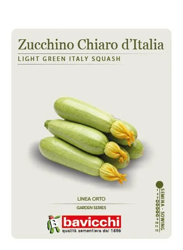 ZUCCHINO VERDE CHIARO D'ITALIA - VZU0707