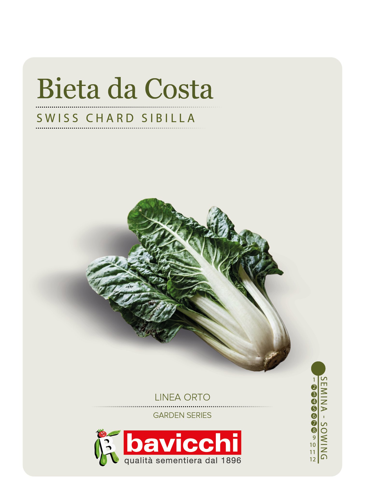 BIETOLA SIBILLA - VBI0207