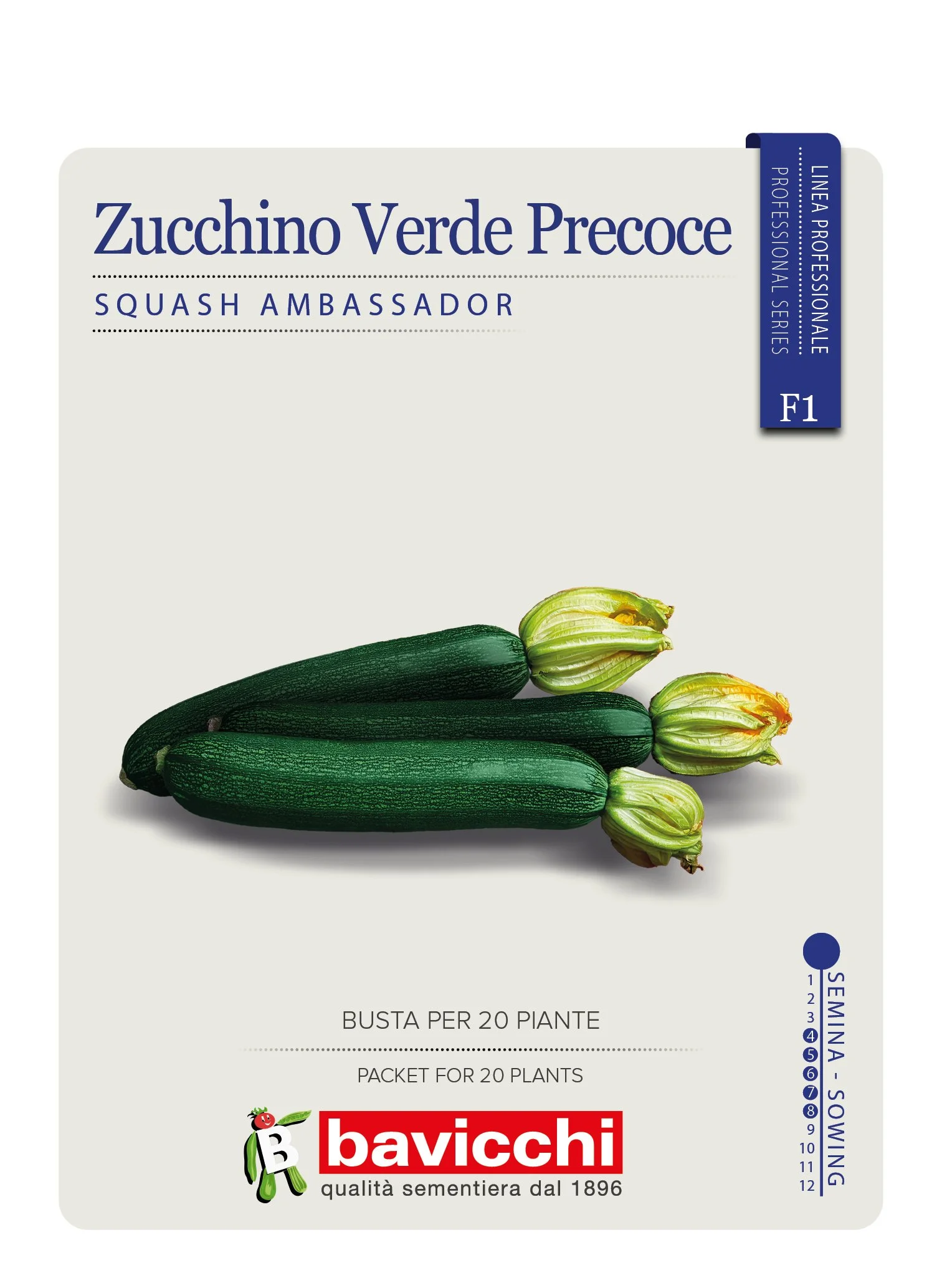 ZUCCHINO AMBASSADOR F1 - VZU0107