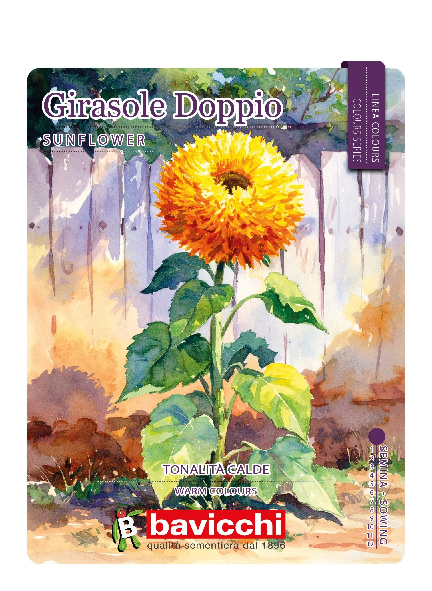 GIRASOLE DOPPIO - FGI0207C