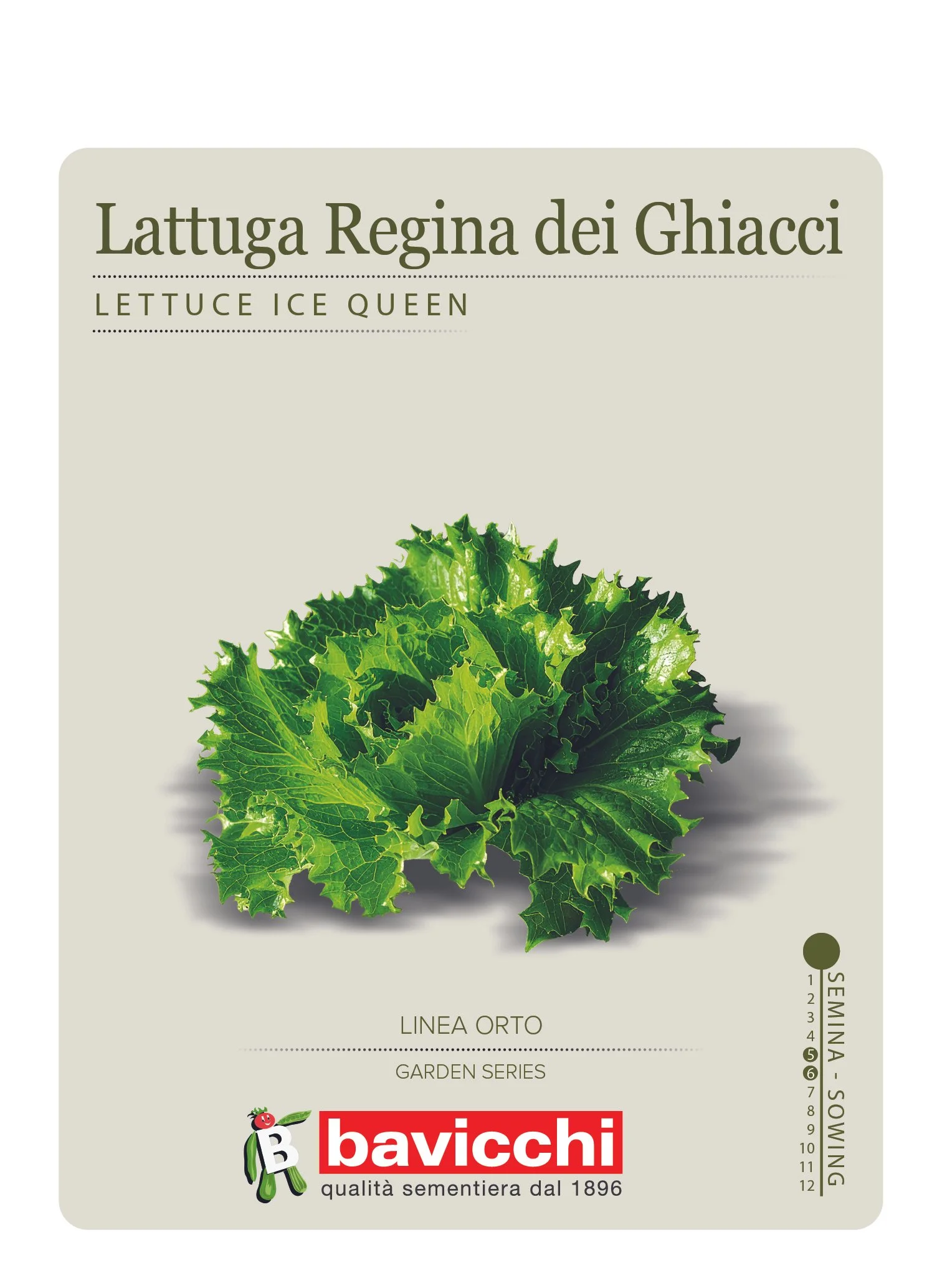 LATTUGA CAPPUCCIO REGINA DEI GHIACCI - VLA0807