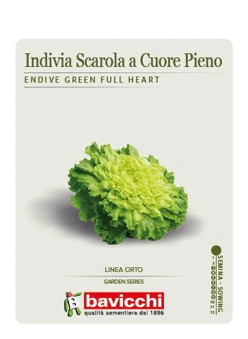 INDIVIA SCAROLA VERDE A CUORE PIENO - VEN1507