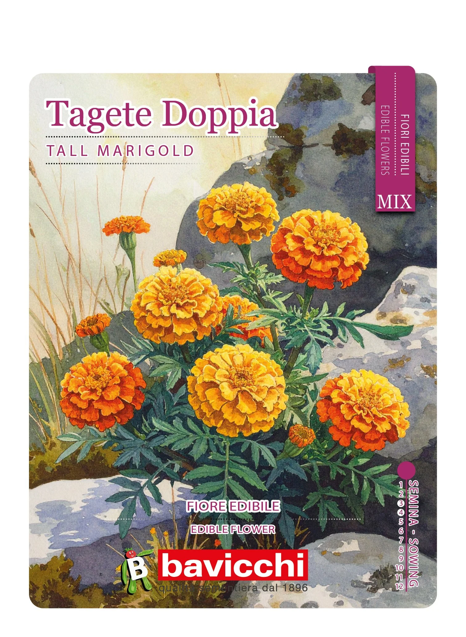 TAGETE DOPPIA MIX - FTA0107E