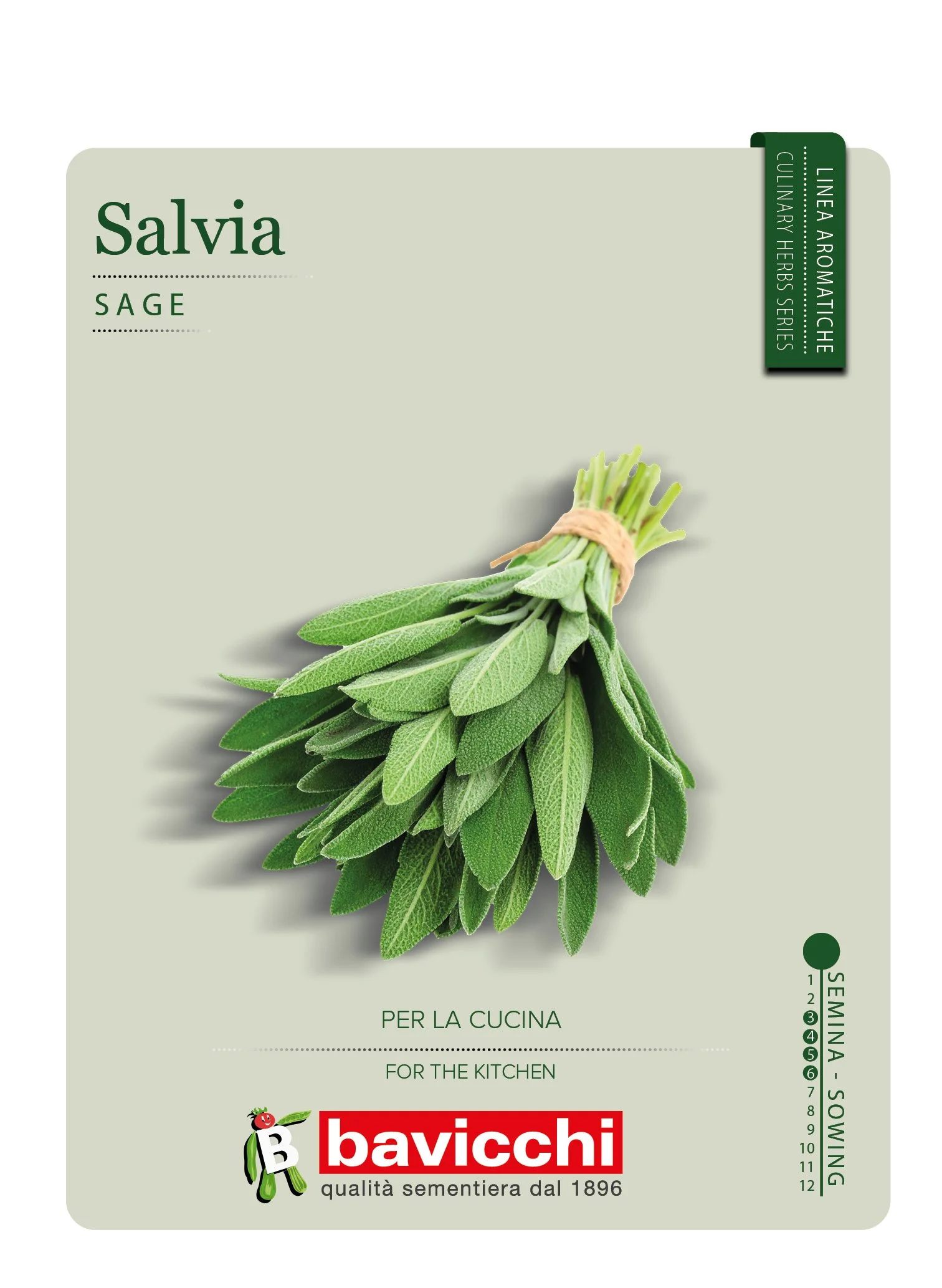 SALVIA - ZXS1007