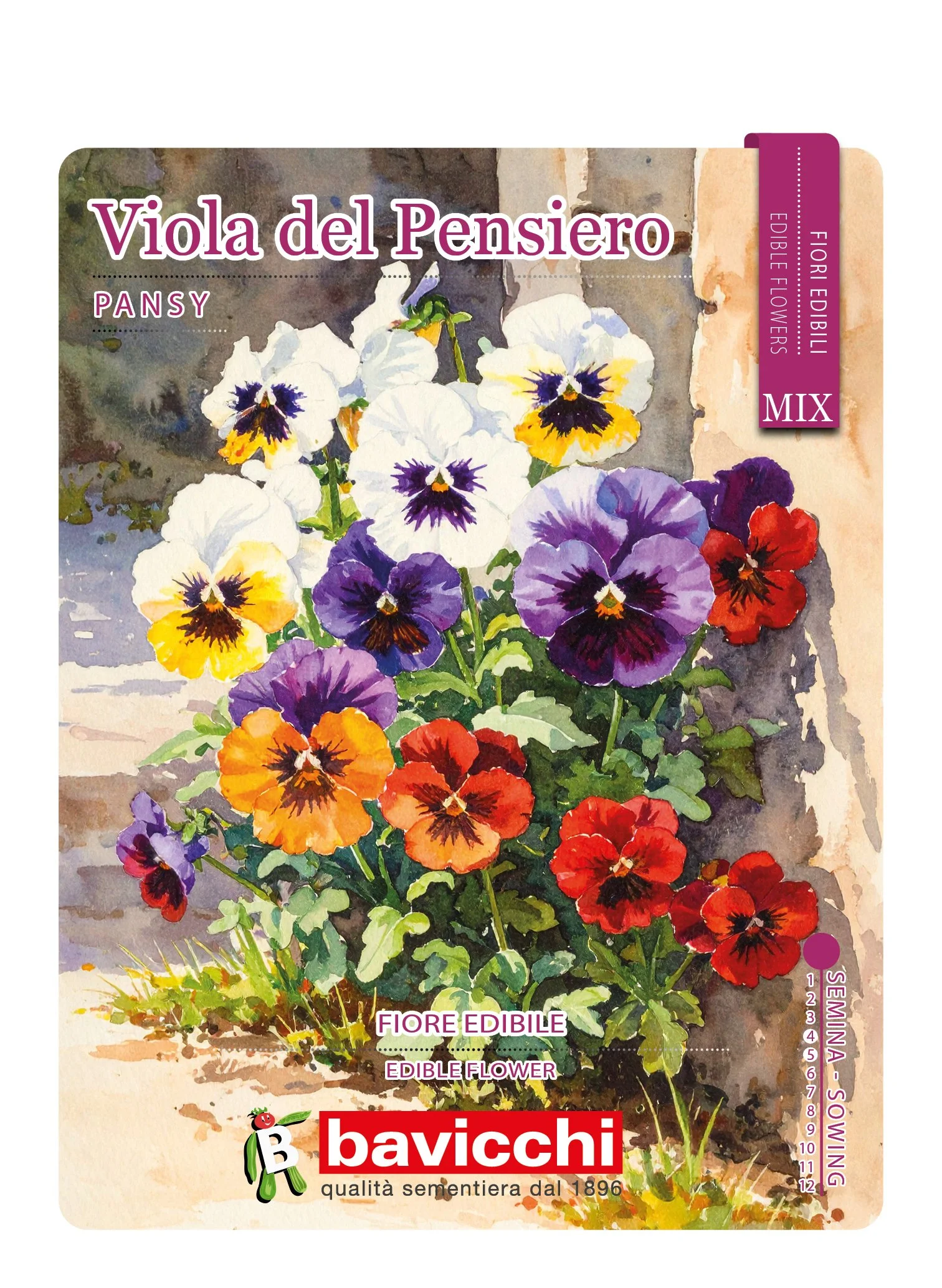 VIOLA DEL PENSIERO MIX - FVI0107E
