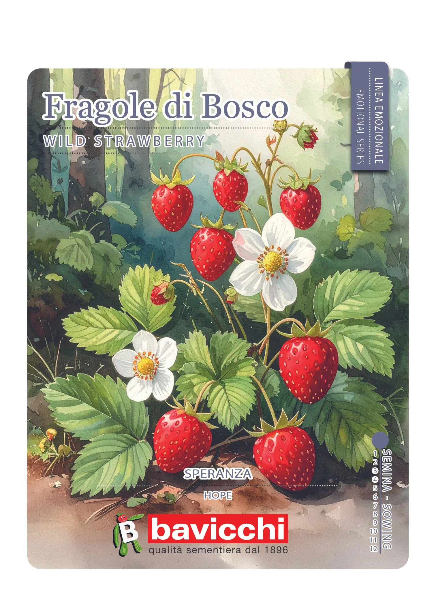 FRAGOLE DI BOSCO - FFR0107