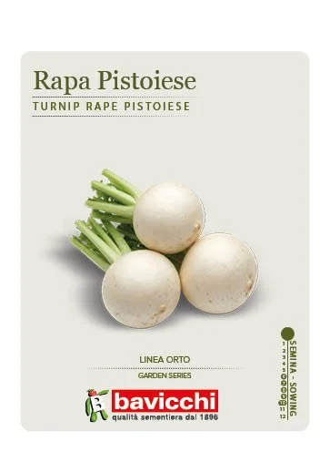 RAPA PISTOIESE - ZRP1307