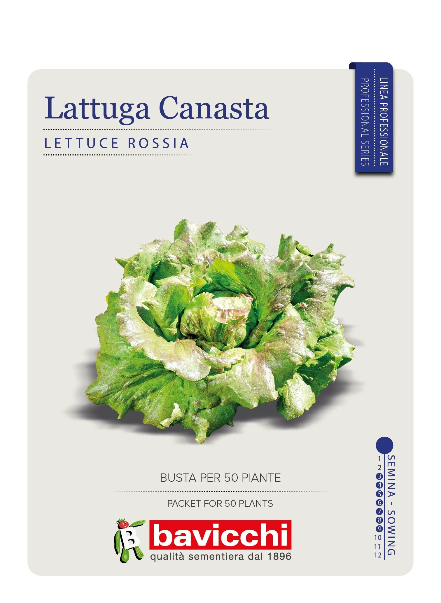 LATTUGA ROSSIA - VLA5507