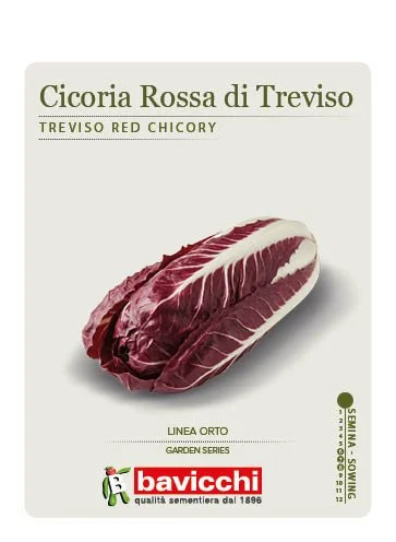 CICORIA ROSSA DI TREVISO - VCI0907