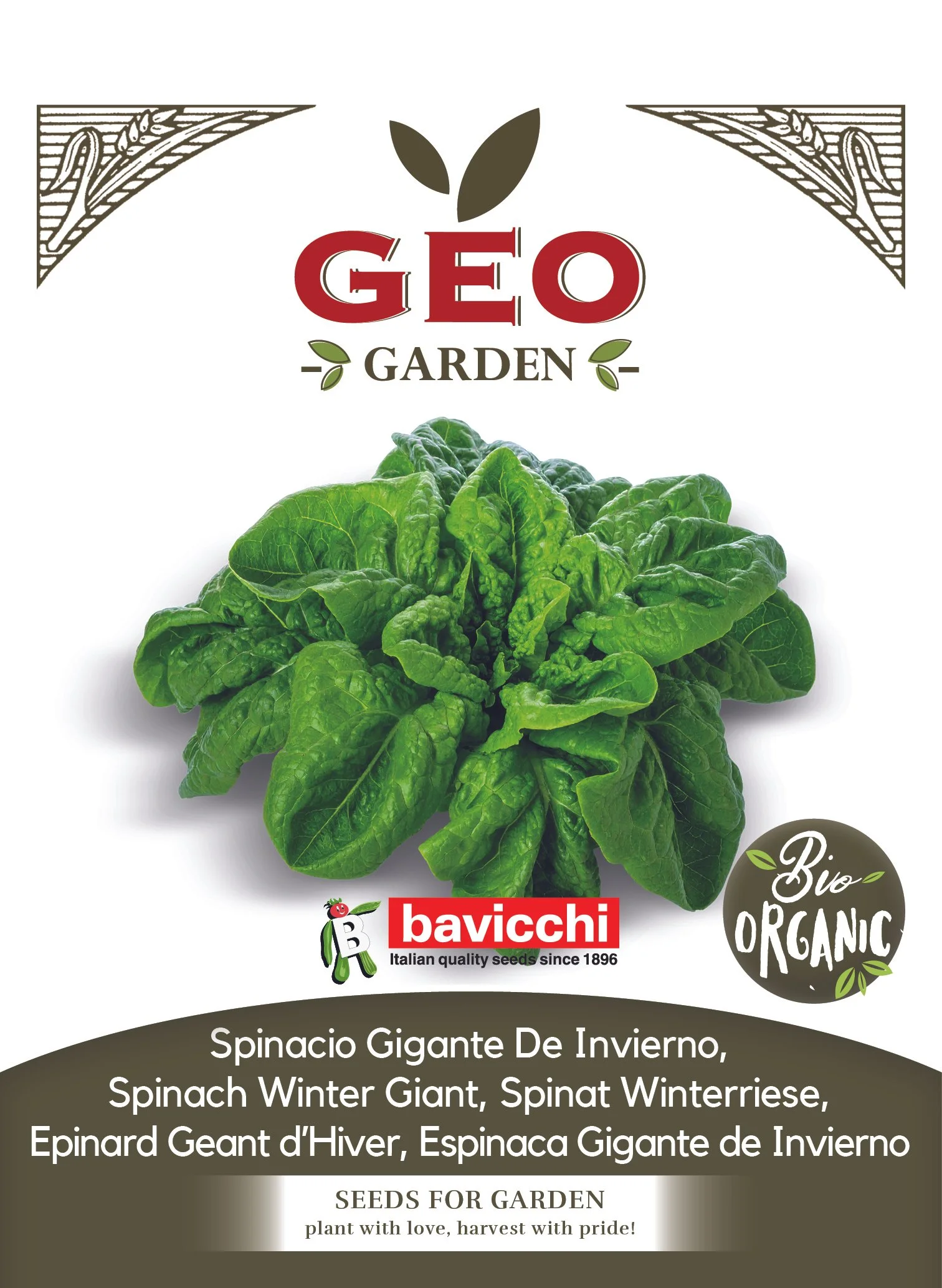 SPINACIO GIGANTE DE INVIERNO - VSP0803