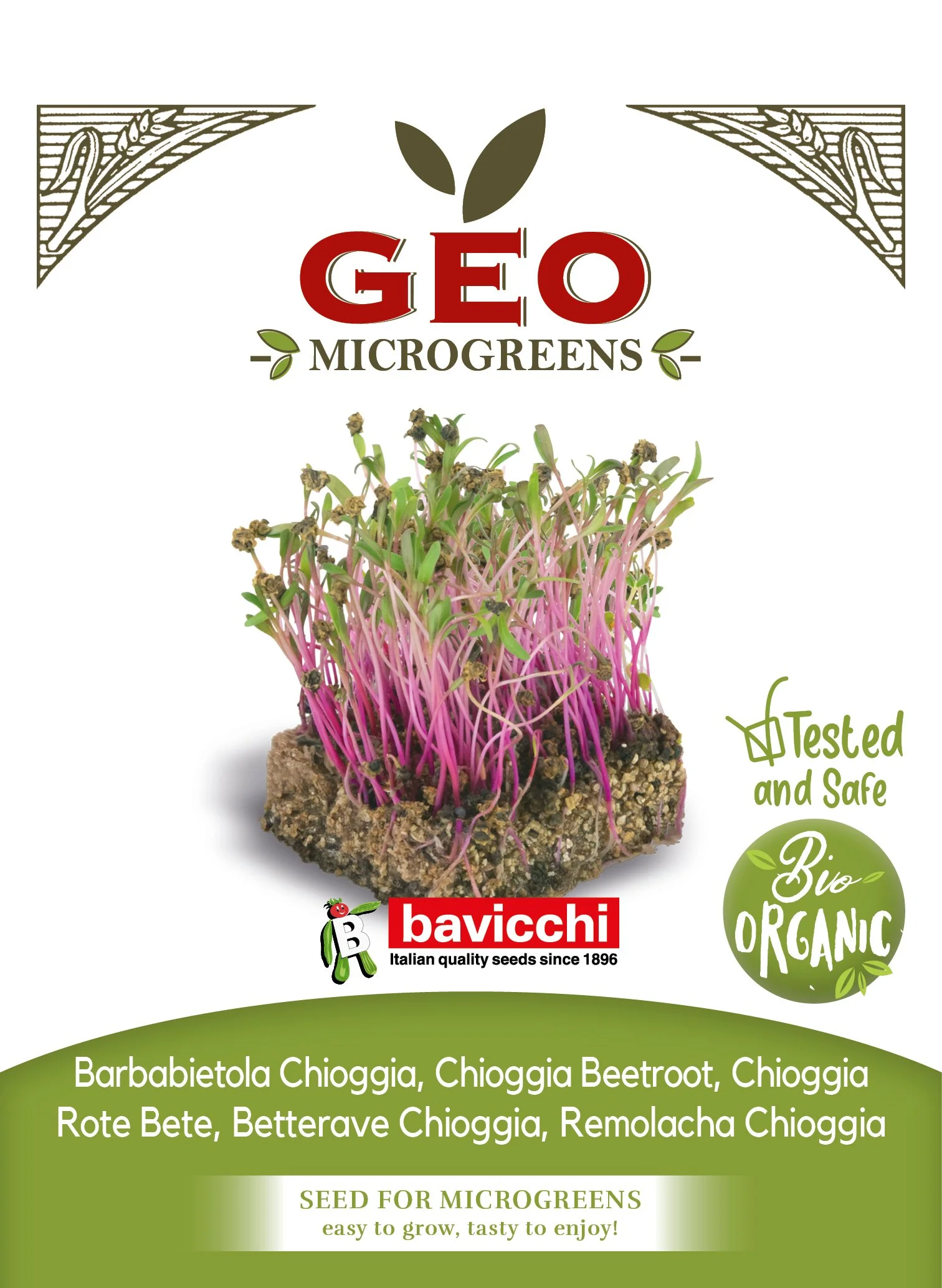 BARBABIETOLA CHIOGGIA - VBI1503