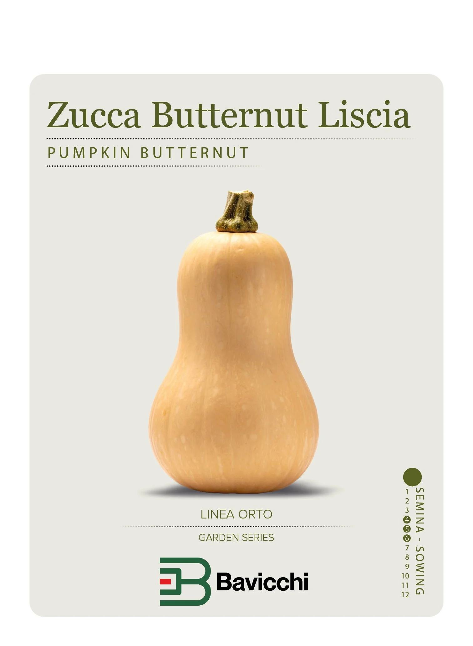 ZUCCA BUTTERNUT LISCIA - ZZU0507