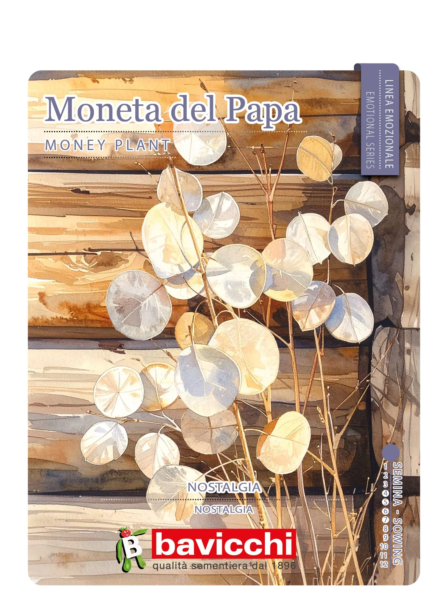 MONETA DEL PAPA - FLU0107
